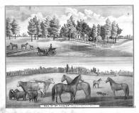 Wm. Hagler, Fayette County 1875